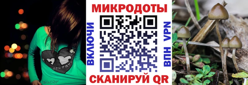 Галлюциногенные грибы мухоморы  Крым 